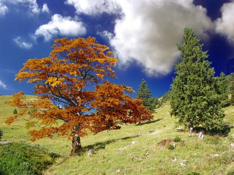 Autumn