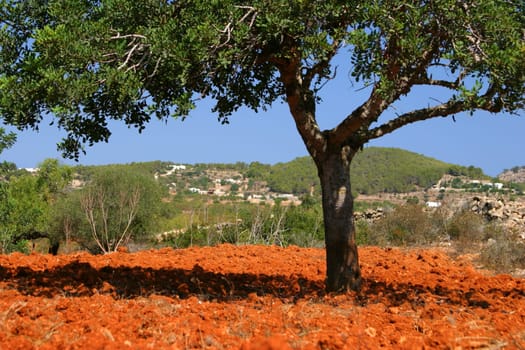 red earth