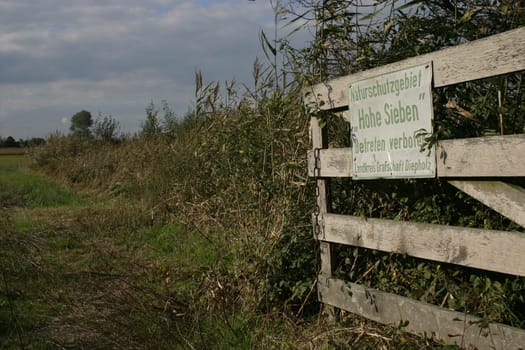 Nature reserve "Hohe Sieben"" at the Dümmer See."
