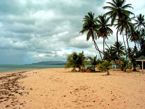 Beach view