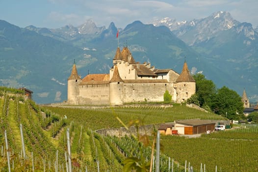 Weinmuûseum Château de Aigle,Vaud,Switzerland