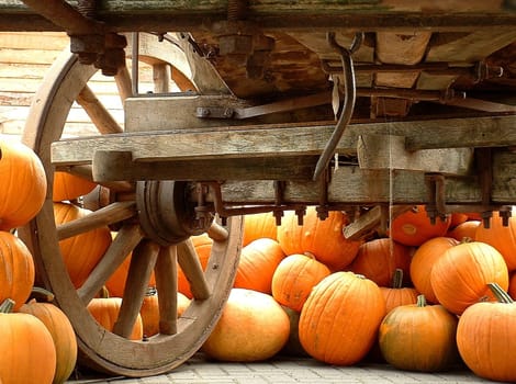 Pumpkin Cart