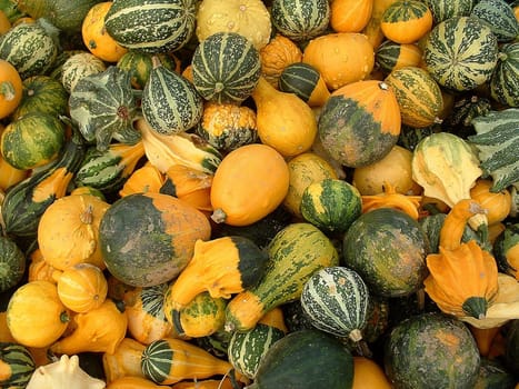 Pumpkins II