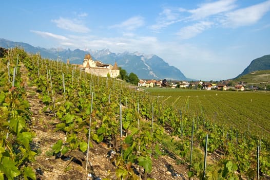 Aigle Winery and Wine Museum,Vaud,Switzerland