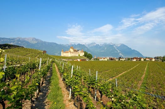 Weinbaumueseum Schloss Aigle,Vaud,Switzerland