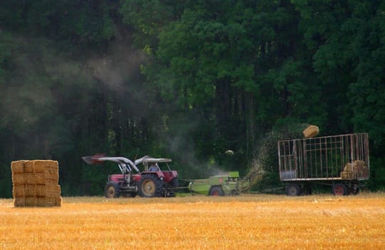 harvest