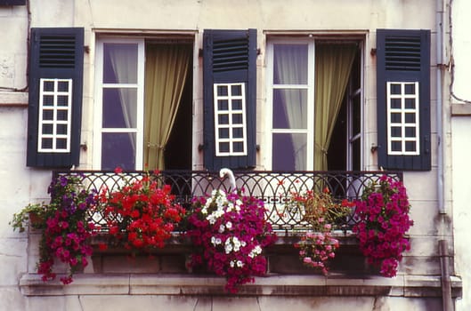 Windows in France