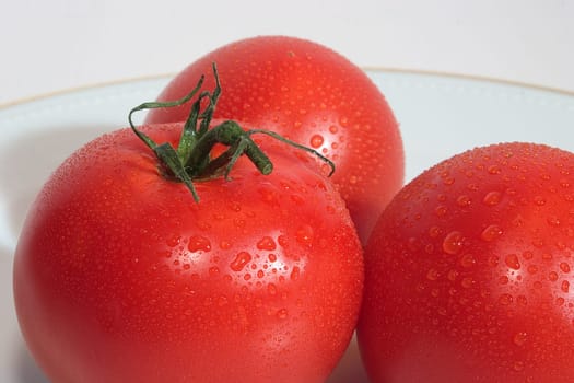 Tomatoes 02