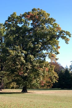 In the Park 03