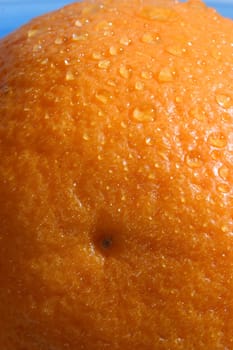 Orange 01