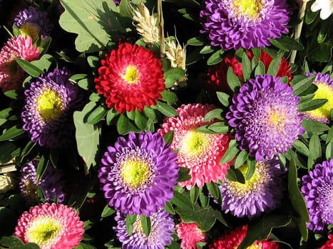 I got this bouquet as a gift and I wanted to delight you with it.