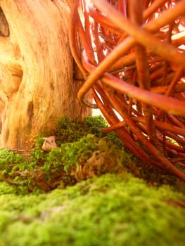 Nature Decoration