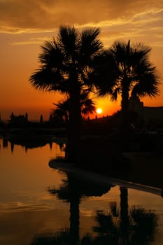 Holiday oasis