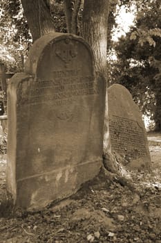 Crooked gravestones at the old Jewish cemetery in Lemgo (Lippe district)