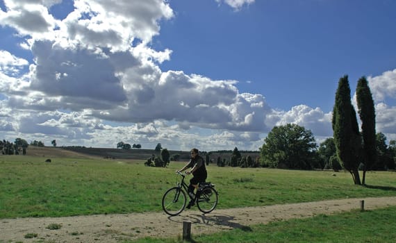 Taken on holiday during a bike tour through the heath near Schneverdingen