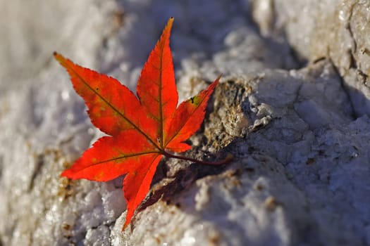 It's autumnal...