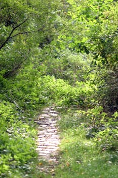 Green Path