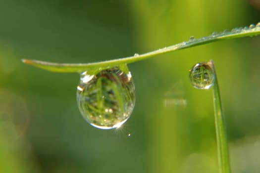 Drops with reflection
