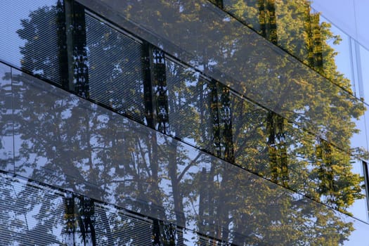 Reflection