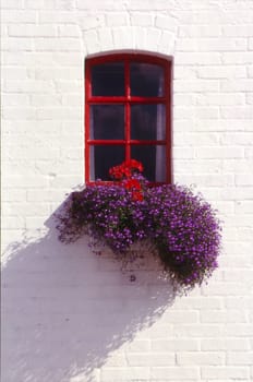 Windows in Denmark