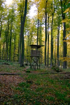 High seat in the forest near Erlenbach