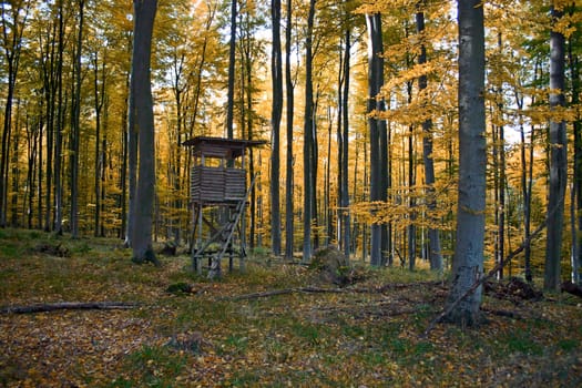 High seat in the forest near Erlenbach