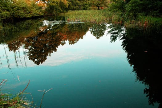 Silence by the pond