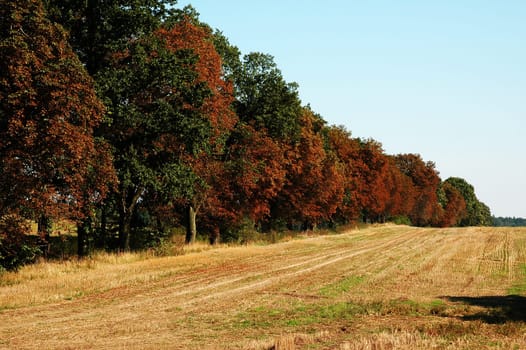 Autumn is here