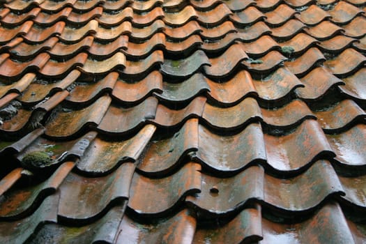 wet roof