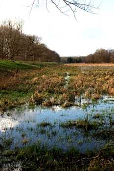 Winterwiese 02