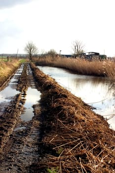 Dirt road 02
