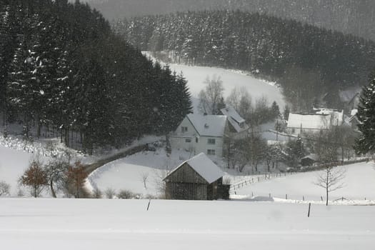 Winter