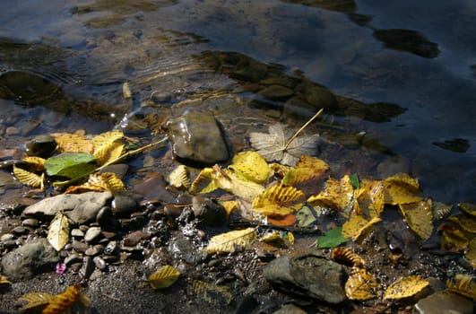 On the riverbank