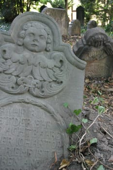 Ancient cemetery