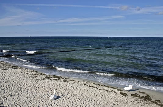 Beach on the Baltic Sea near Kühlungborn