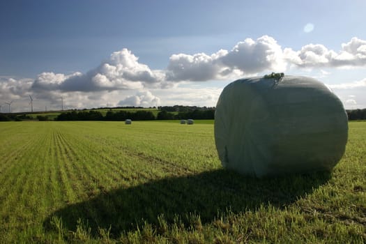 Hay harvest finished