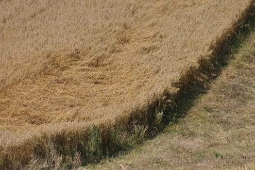 Arable boundary
