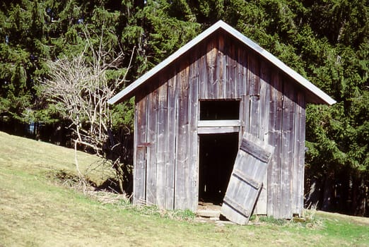 open-door day