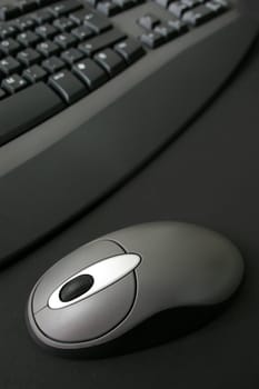 Gray Mouse