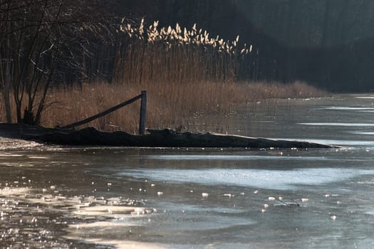 Lakeshore 02