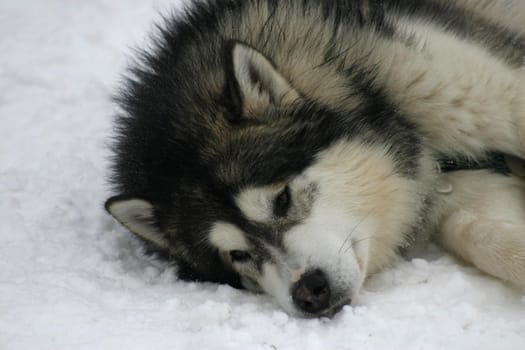 tired