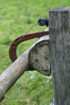 Fence Detail
