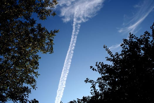 Flight Trace