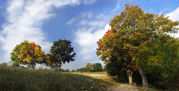 Late summer