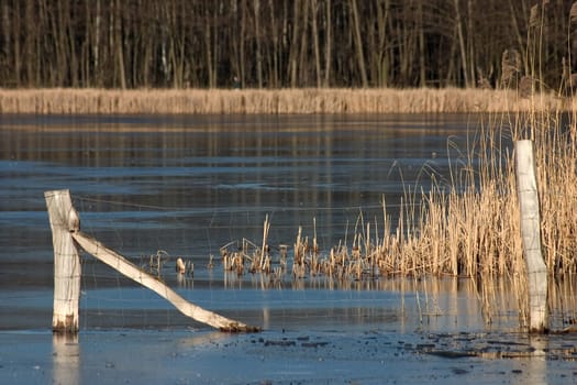 Lakeshore 03