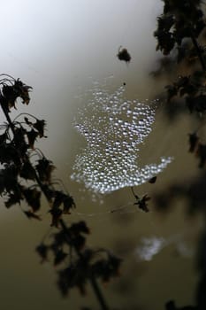 Floating drops