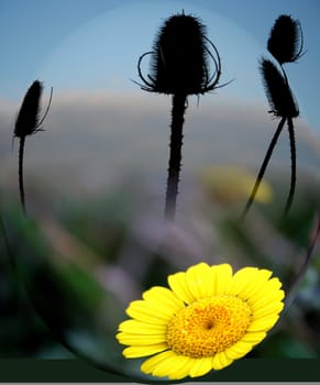 HerbstLich(t)