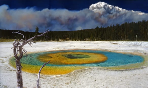 Yellow Stone Natiolpark in August 1988. During the great forest fire in August 1988 1/3 of the forest in the oldest American national park was destroyed. The unique watercolors are created various minerals and algae.