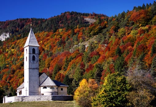 Autumn Impressions I