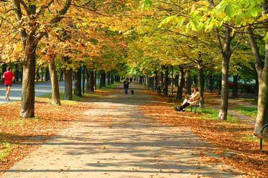 Autumn in Vienna